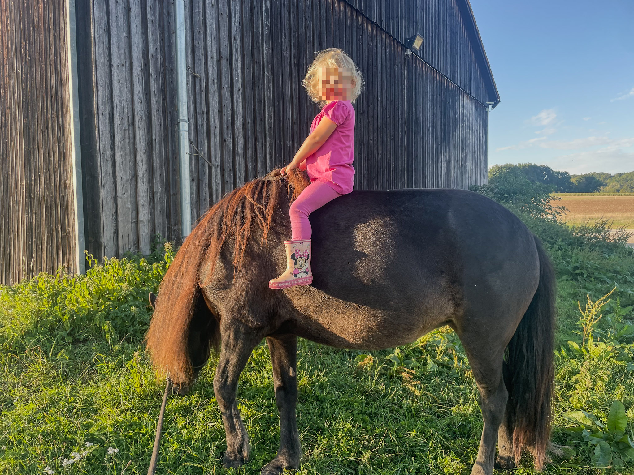 Hippotherapie Kinder Fränkische Schweiz Physiotherapie Ingo Niemeyer